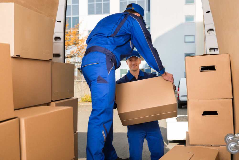 Licensed movers Wimauma