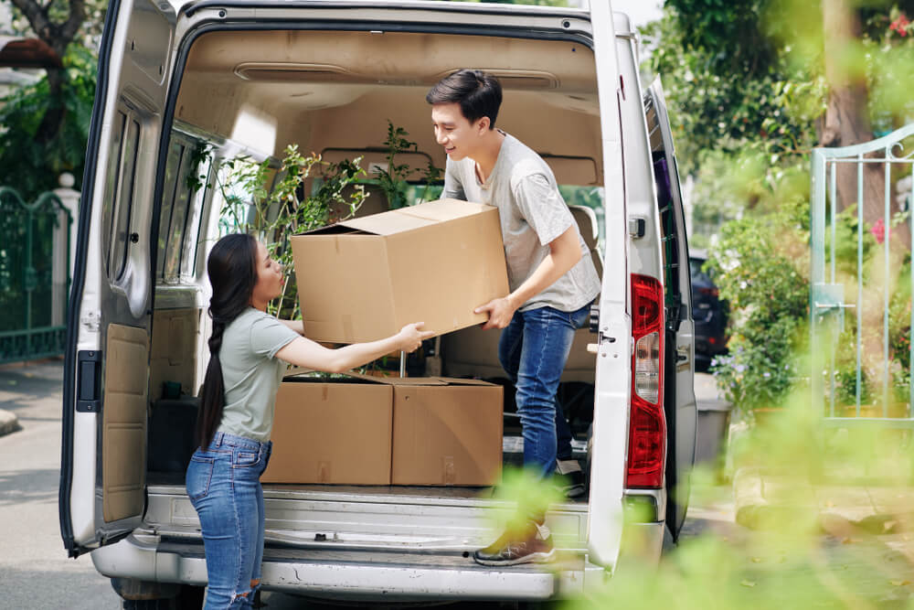 Local movers Wimauma